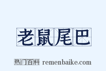 老鼠尾巴是什么意思的图片